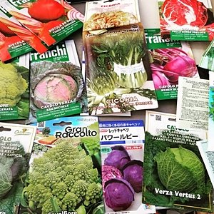 あいちゃん農園のブログの記事一覧 ページ 2 6 株式会社吉野ヶ里あいちゃん農園