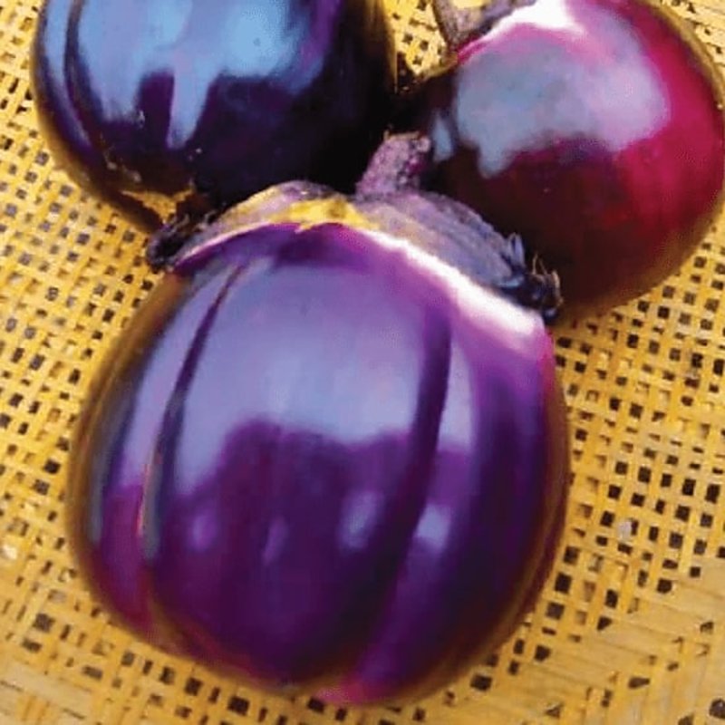 ヴィオレッタフィレンチェ（イタリアナス） | 株式会社吉野ヶ里