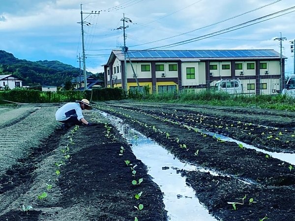 あいちゃん農園の新しい仲間の画像